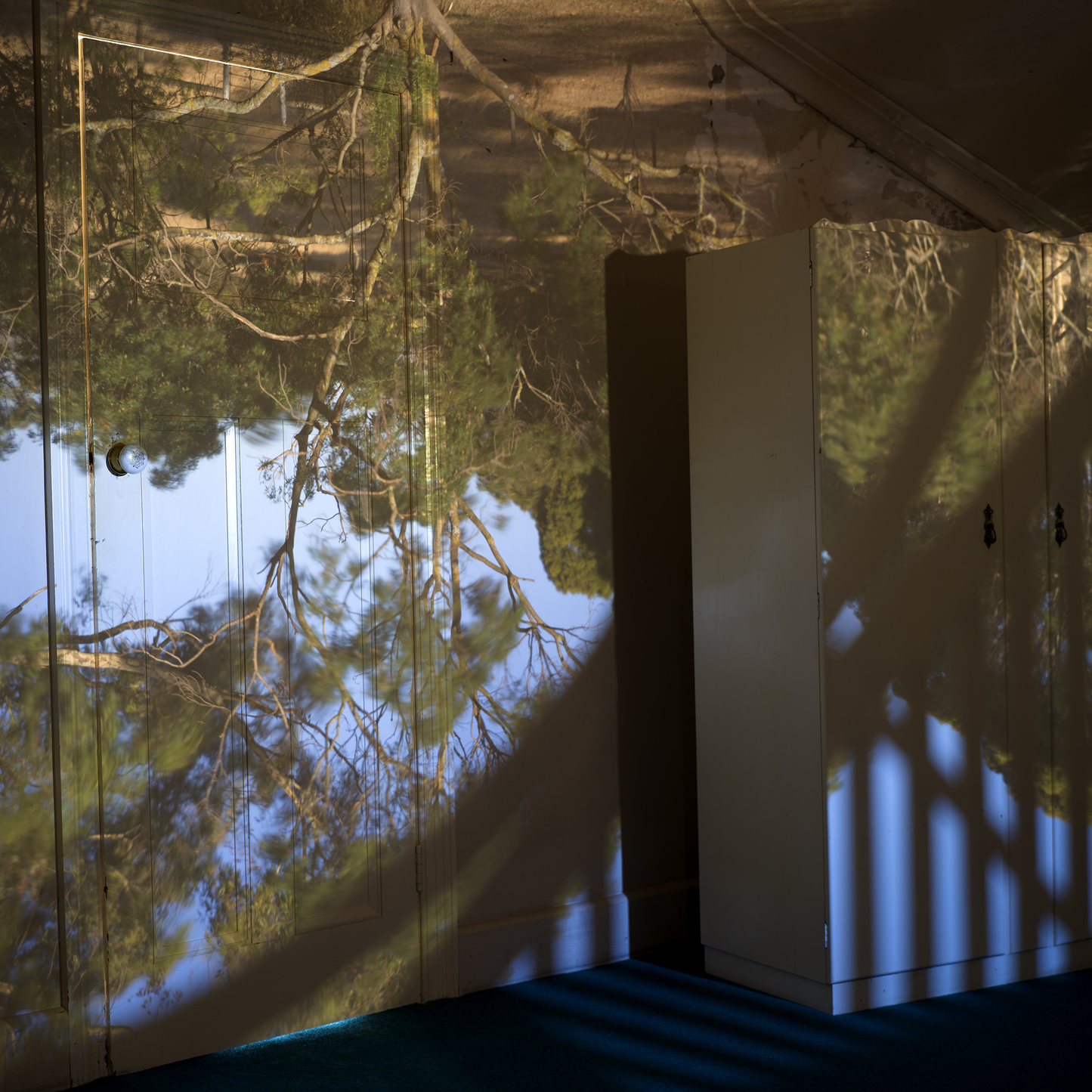 Projection of trees onto a wall with a white column in the foreground