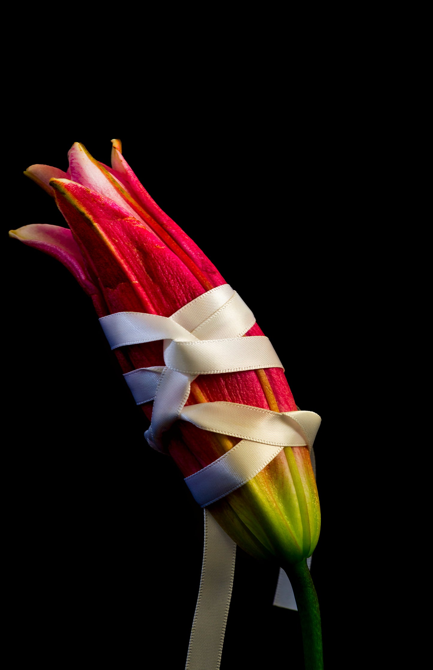 It's a Fine Line Between Pleasure and Pain