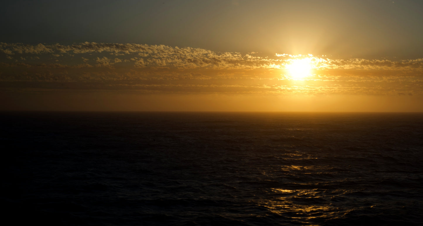 Sunset Lover.