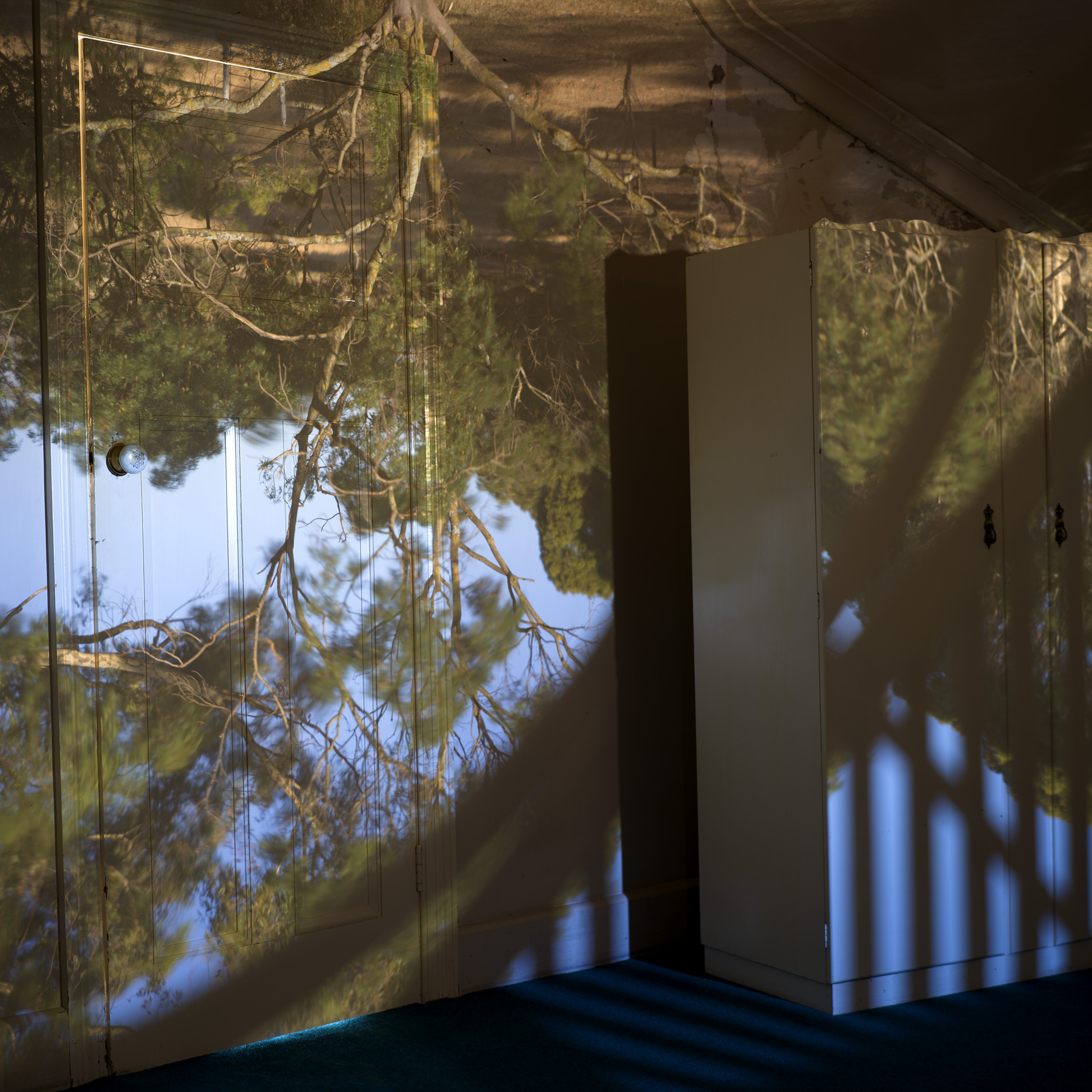 Projection of trees onto a wall with a white column in the foreground
